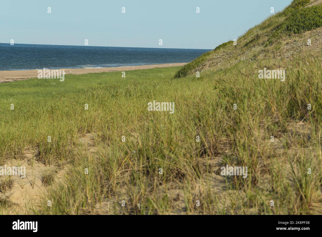 This beach is part of The Cape Cod National Seashore in Eastham, Massachusetts. It opens in mid June-Labor Day. A popular beach in Eastern Massachuset Stock Photo