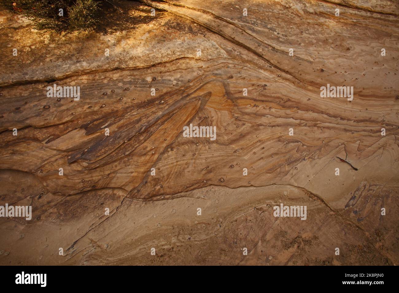 Zion Sandstone patterns 2659 Stock Photo