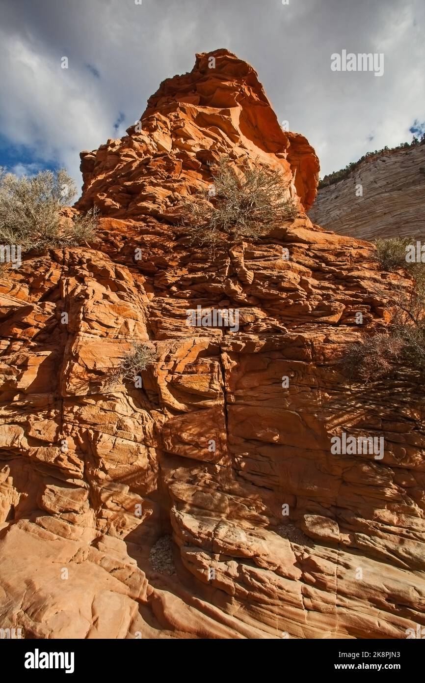 Zion Park Boulevard scenery 2658 Stock Photo