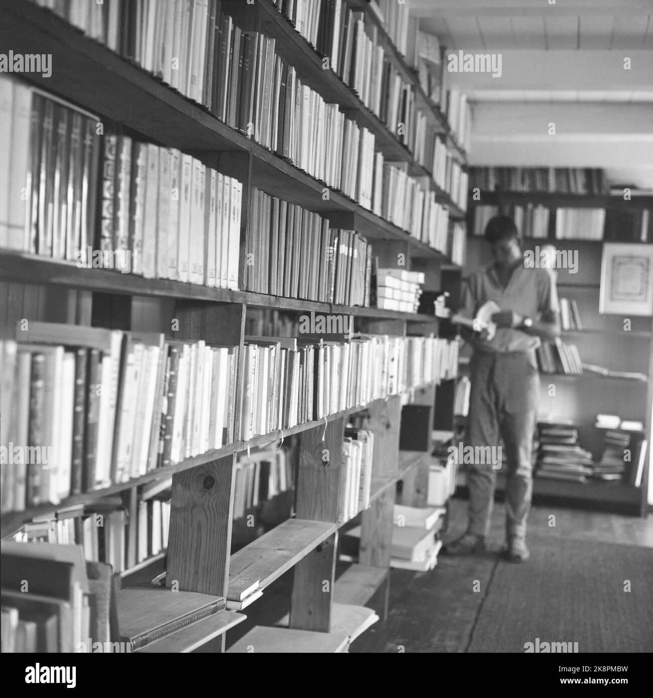 Bjorn Bjornsen Current Ntb Bookshelves Assets Hi res Stock Photography bjorn-bjornsen-current-ntb-bookshelves-assets-hi-res-stock-photography
