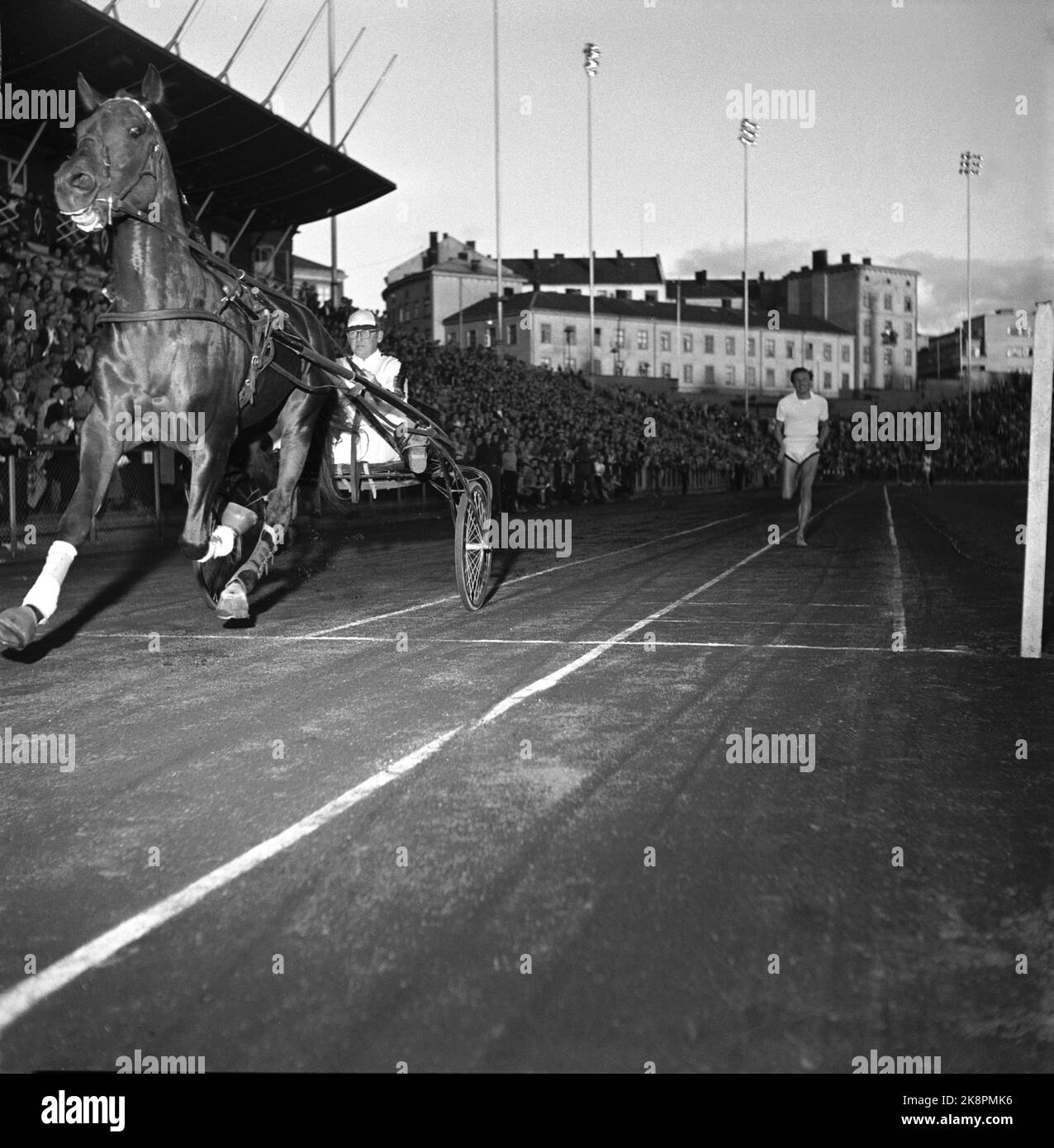 Current ntb running exercises horses trot sports arenas hires stock