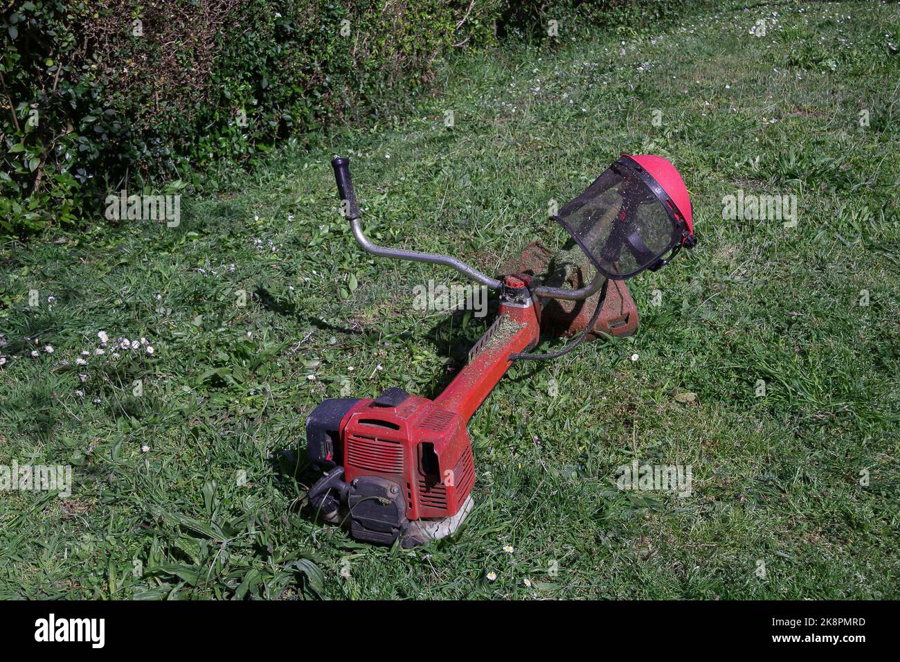 A closeup of a brushcutter, a clearing saw on the lawn in the garden. Stock Photo