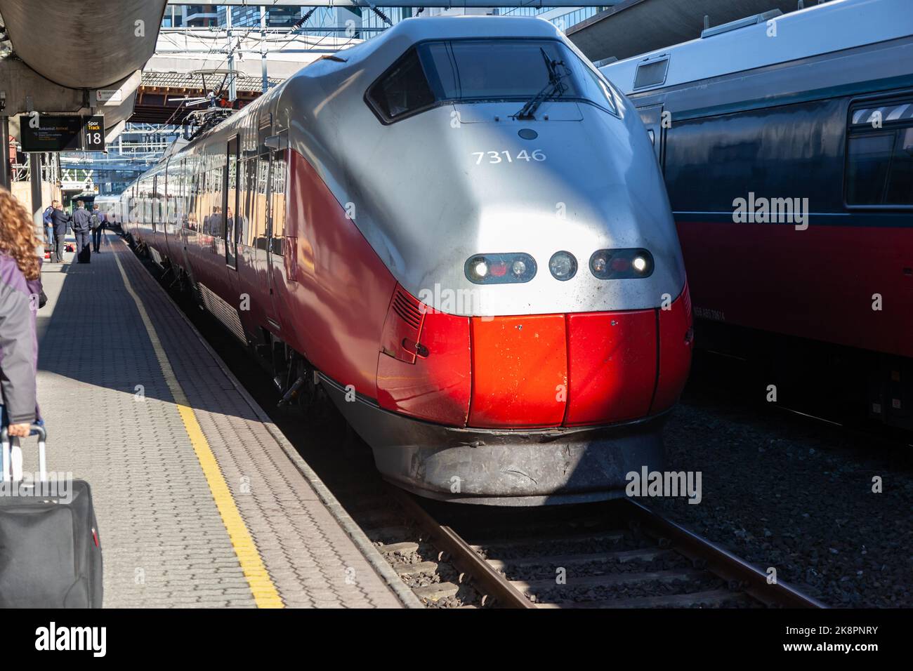 The train station of Gothenburg with trains parked on the tracks