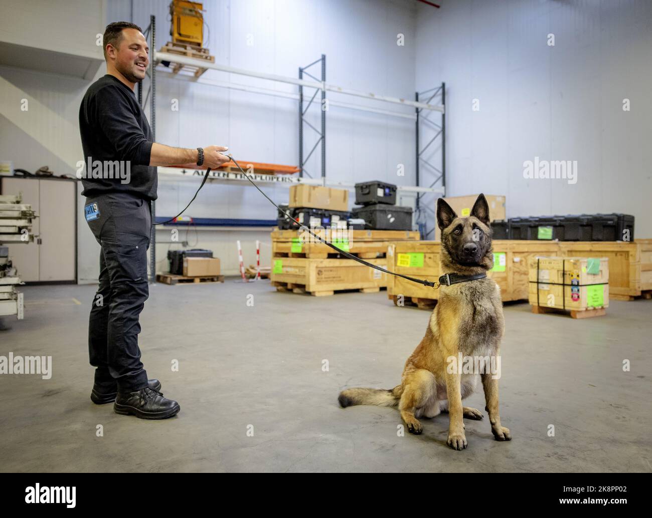 2022-10-24 16:57:07 AMSTERDAM - Dog Ringo during a training. Together with dog Bizzy, Ringo goes to help soldiers in Nepal in the fight against the poaching of red pandas. ANP ROBIN VAN LONKHUIJSEN netherlands out - belgium out Stock Photo