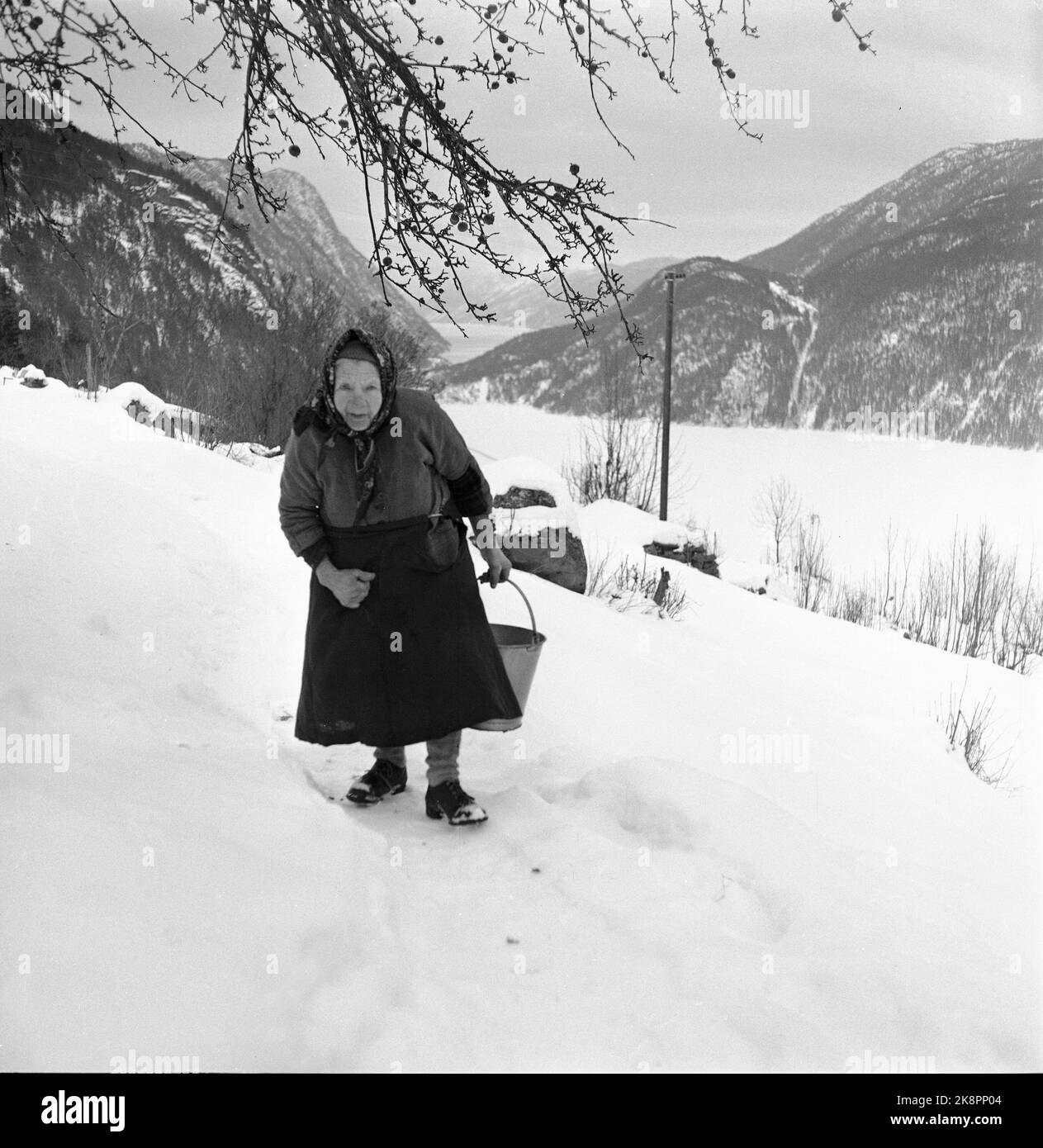 Aage storlokken current ntb full figure elder women water unemployment