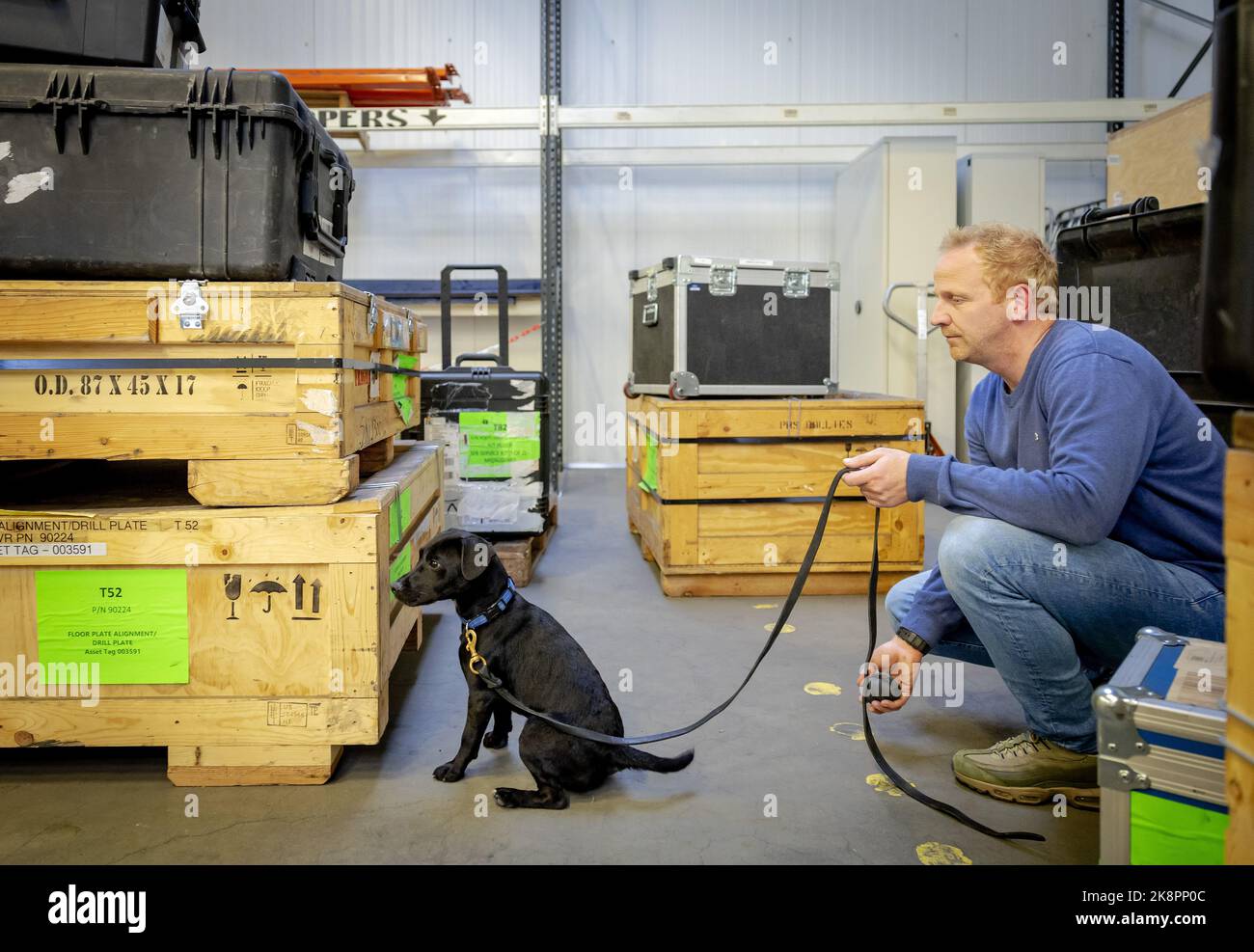 2022-10-24 16:52:49 AMSTERDAM - Dog Bizzy during a training. Together with dog Ringo, Bizzy goes to help soldiers in Nepal in the fight against the poaching of red pandas. ANP ROBIN VAN LONKHUIJSEN netherlands out - belgium out Stock Photo