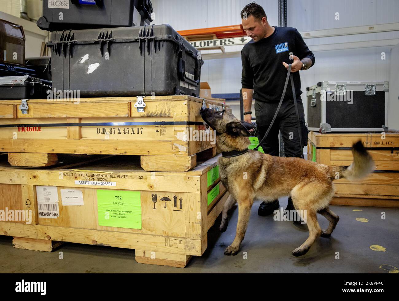 2022-10-24 16:57:53 AMSTERDAM - Dog Ringo during a training. Together with dog Bizzy, Ringo goes to help soldiers in Nepal in the fight against the poaching of red pandas. ANP ROBIN VAN LONKHUIJSEN netherlands out - belgium out Stock Photo