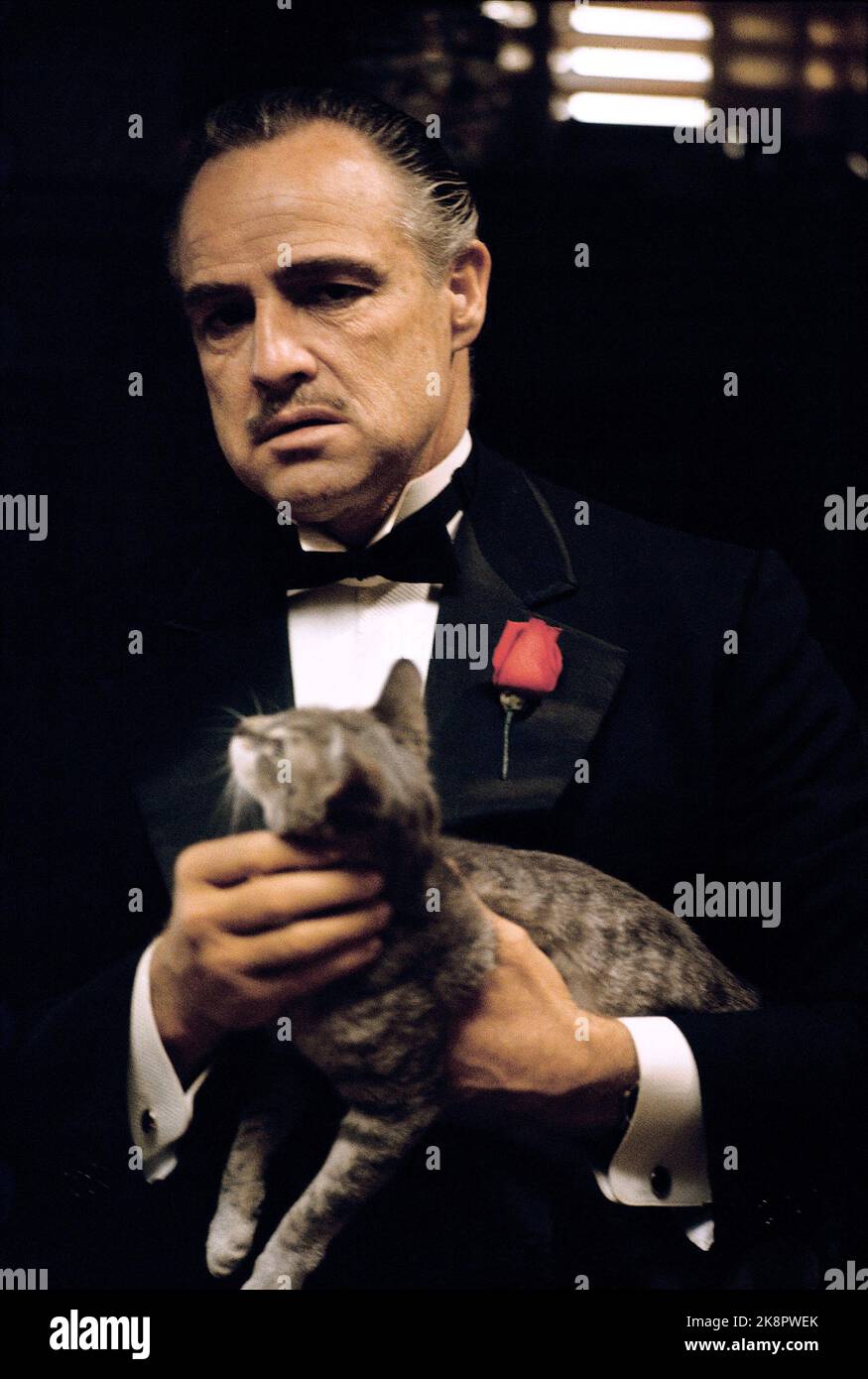 The Godfather Marlon Brando Stock Photo Alamy