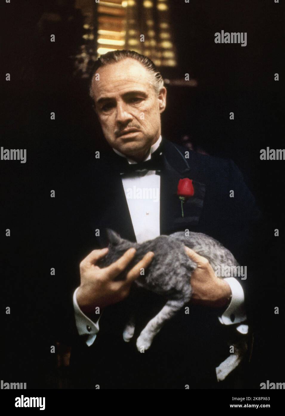 The Godfather Marlon Brando Stock Photo - Alamy