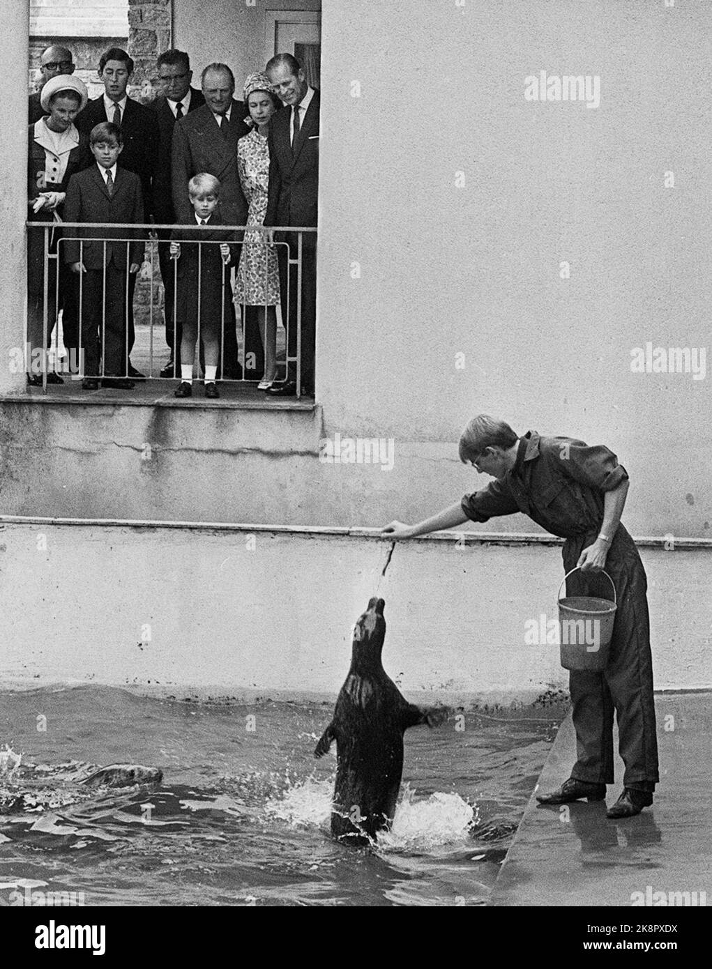 Bergen 19690808. Queen Elizabeth in Norway with the family. The royals visit the aquarium in Bergen. Here we see feeding of seals. Eg. Crown Princess Sonja, Prince Andrew, Prince Edward, Prince Charles, King Olav, Queen Elizabeth and Prince Philip. Ntb archive / ntb Stock Photo