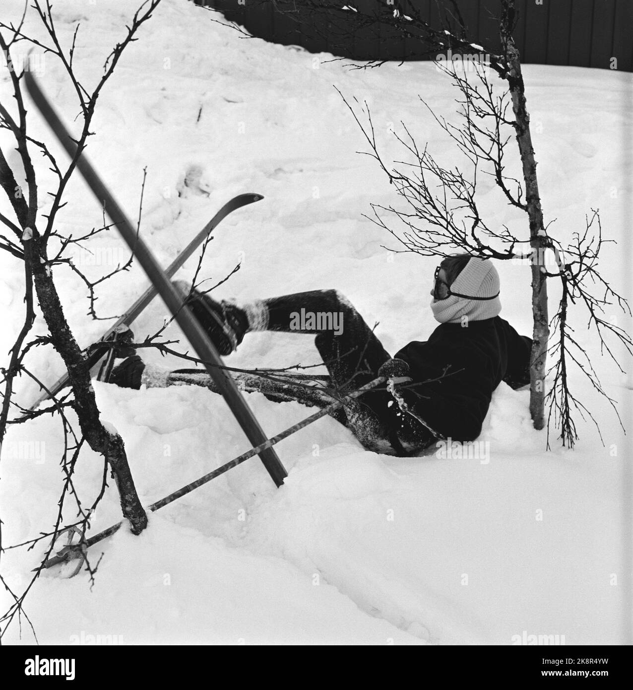 Gausdal 1955 - Queen Ingrid of Denmark on a private winter holiday in Norway with her three daughters, inheritance princess Margrethe, Princess Benedikte and Princess Anne -Marie. Queen Ingrid has not had skis on his legs in 20 years. In the picture lies the heir Margrethe and caves in the snow, after skiing. Photo: Sverre A. Børretzen / Current / NTB Stock Photo