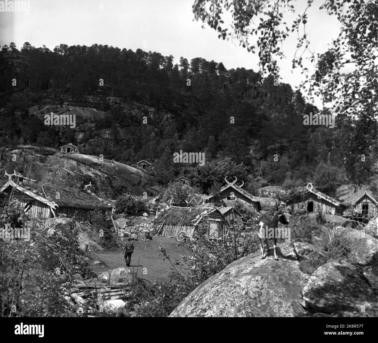 Oslo, 195705 The recording of the movie The Vikings (Vikings) under the ...