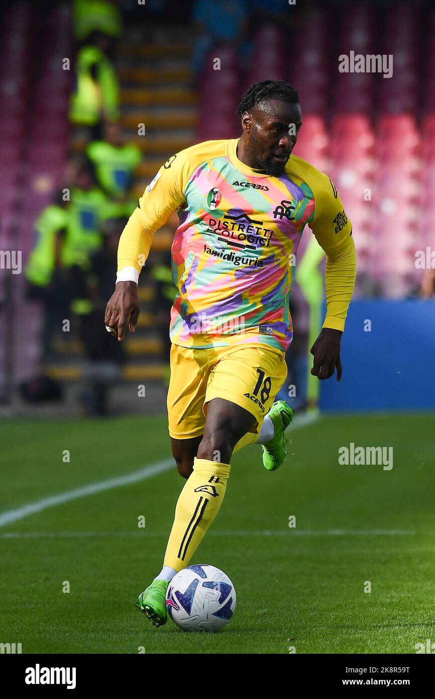 Artemio Franchi stadium, Florence, Italy, October 31, 2021, Lorenzo Venuti ( Fiorentina) and Mbala Nzola (Spezia) during ACF Fiorentina vs Spezia Cal  Stock Photo - Alamy