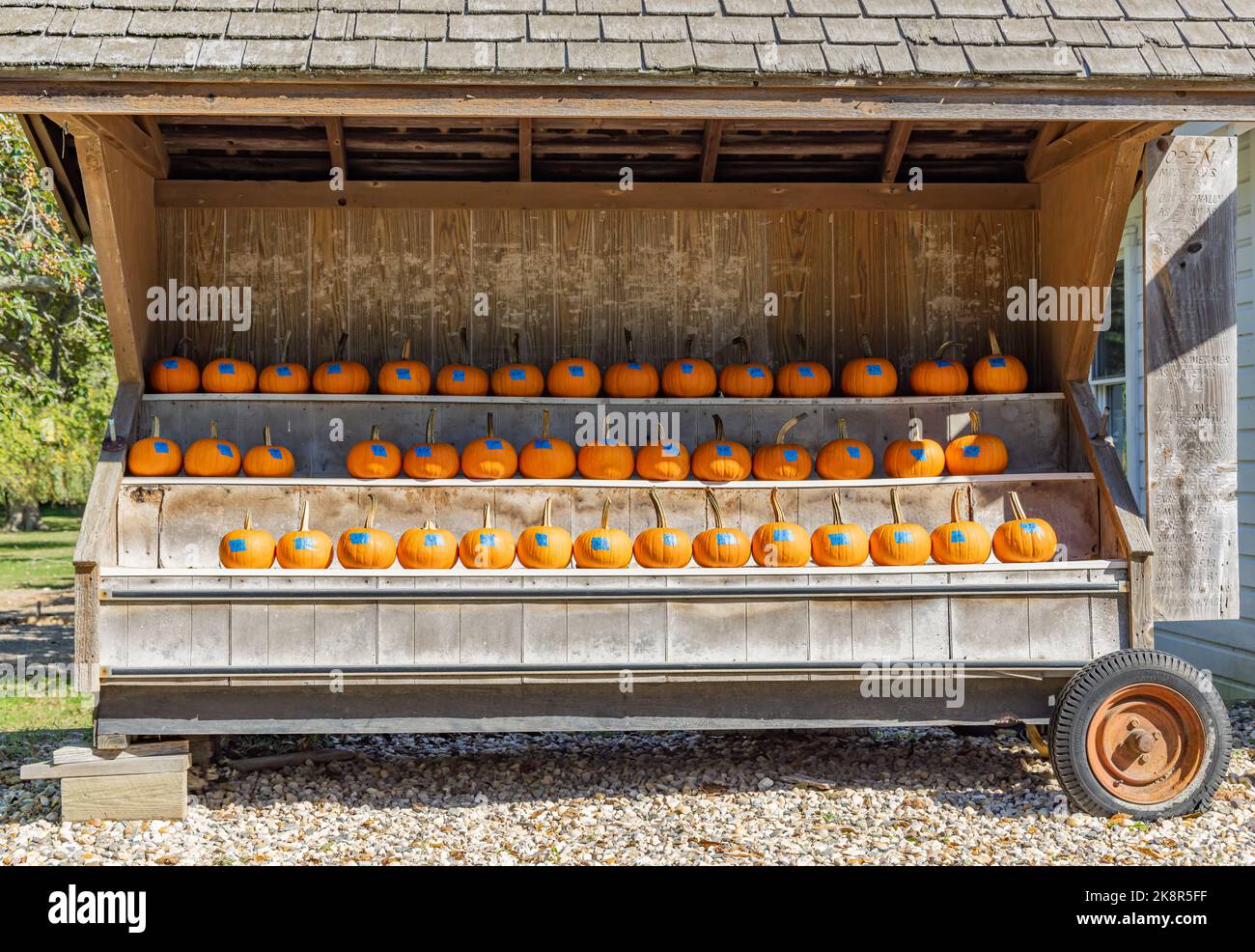 Pumpkins displayed for sale at a Shelter Island farm stand Stock Photo