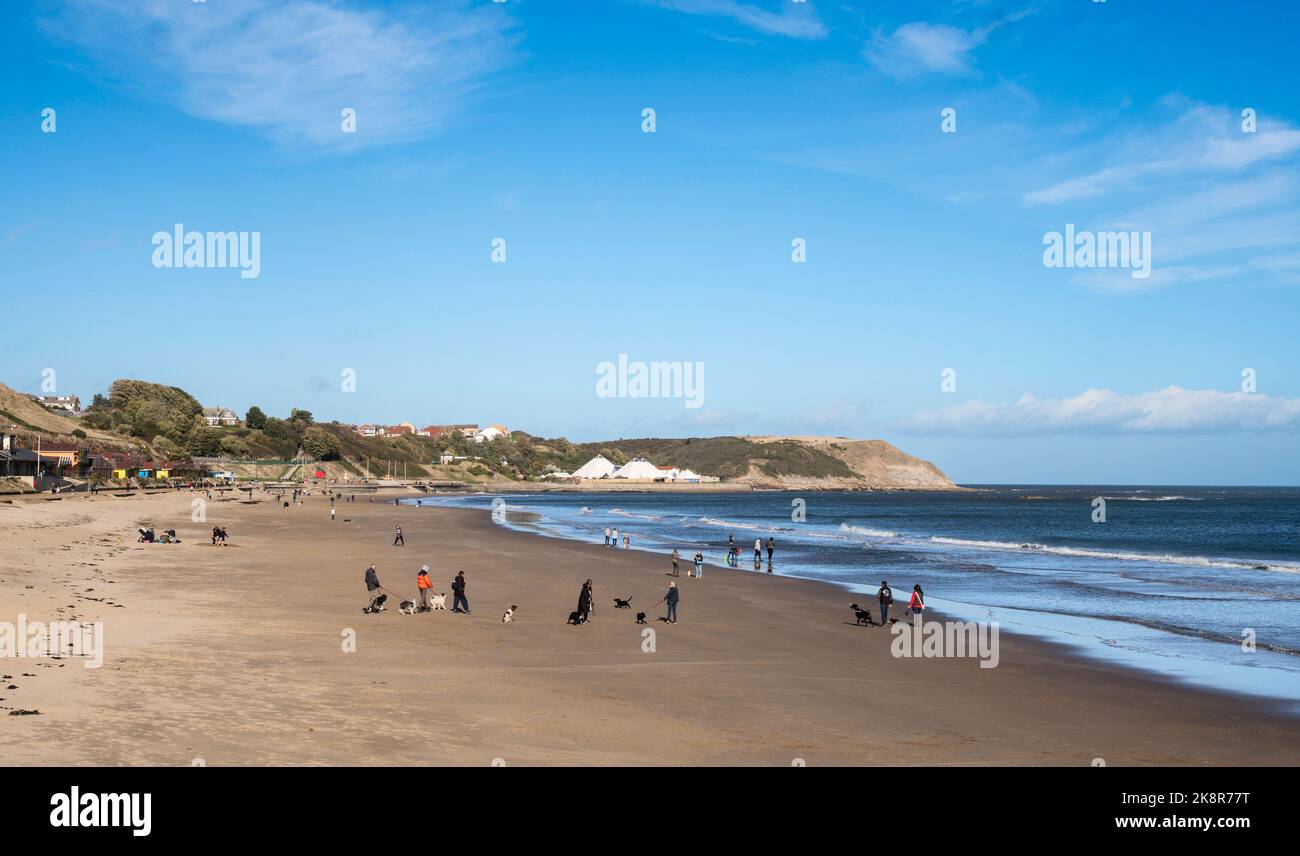 People walking dogs on Scarborough North Bay beach, in North Yorkshire