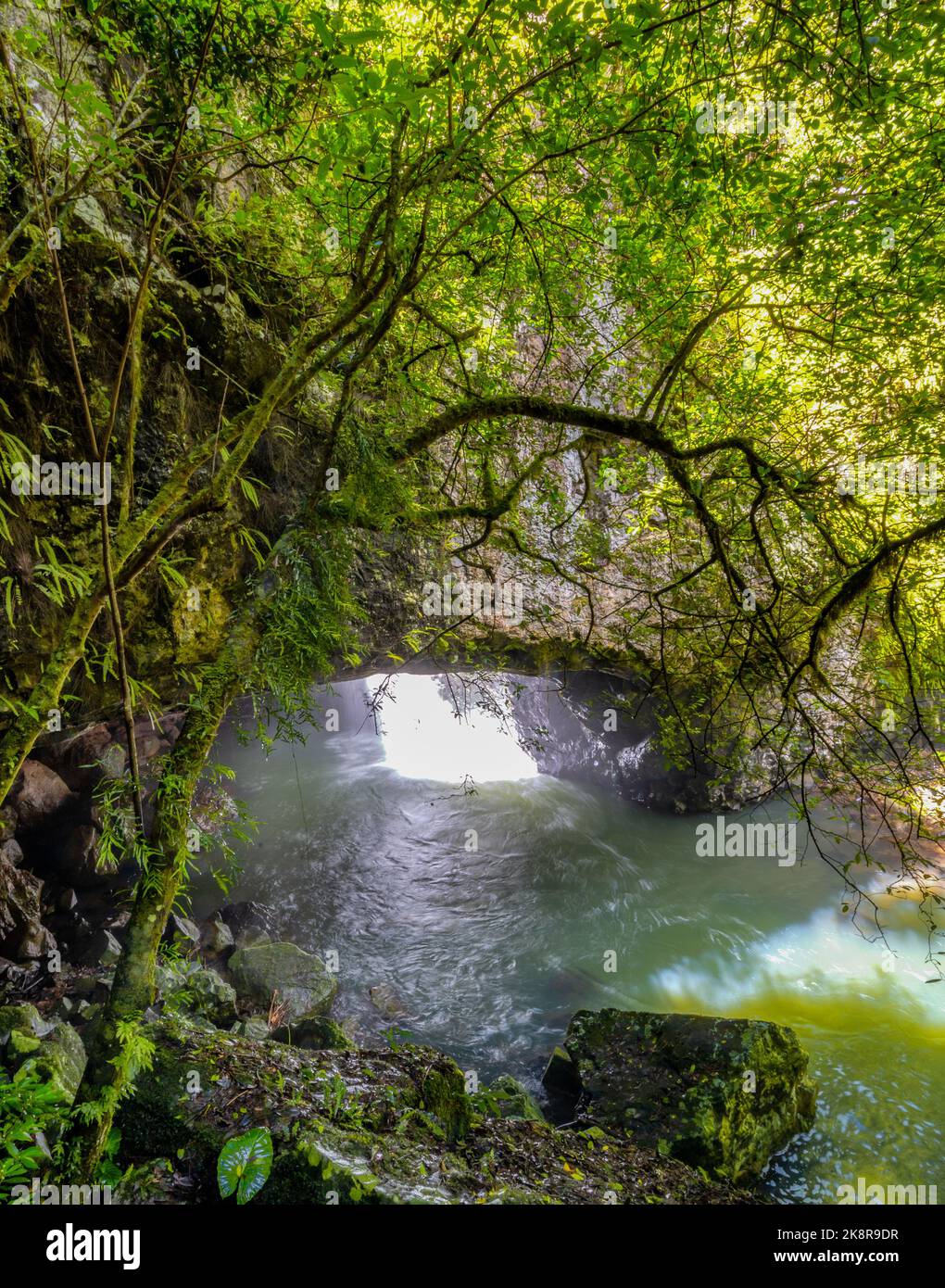 A vertical shot of the Natural Bridge Falls and a waterfall in the ...