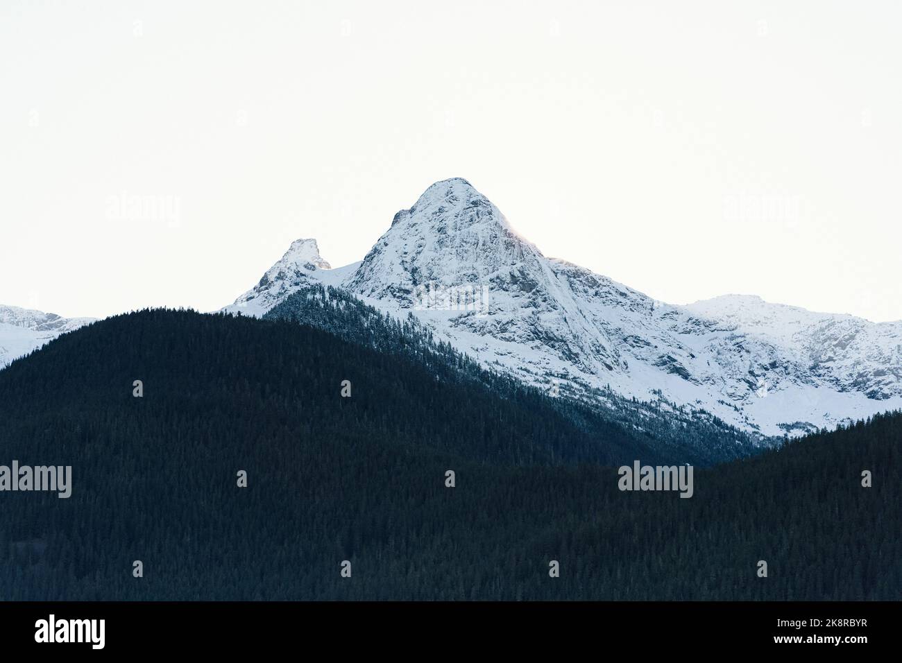 A low angle shot of a mountain summit covered with snow and a green ...
