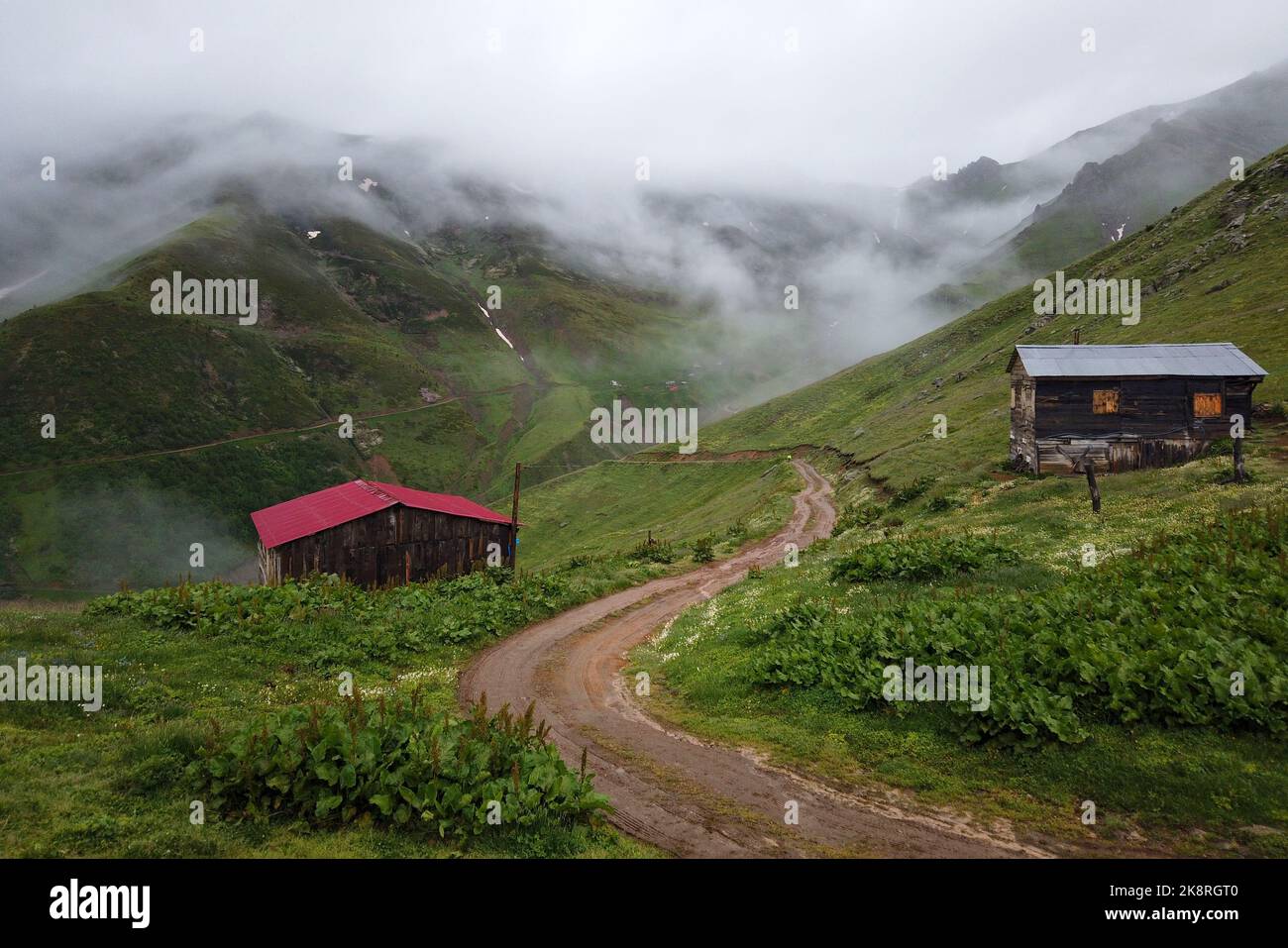 Gevul plateau and valley located in the west of Hatila Valley National Park in Artvin Province. Stock Photo