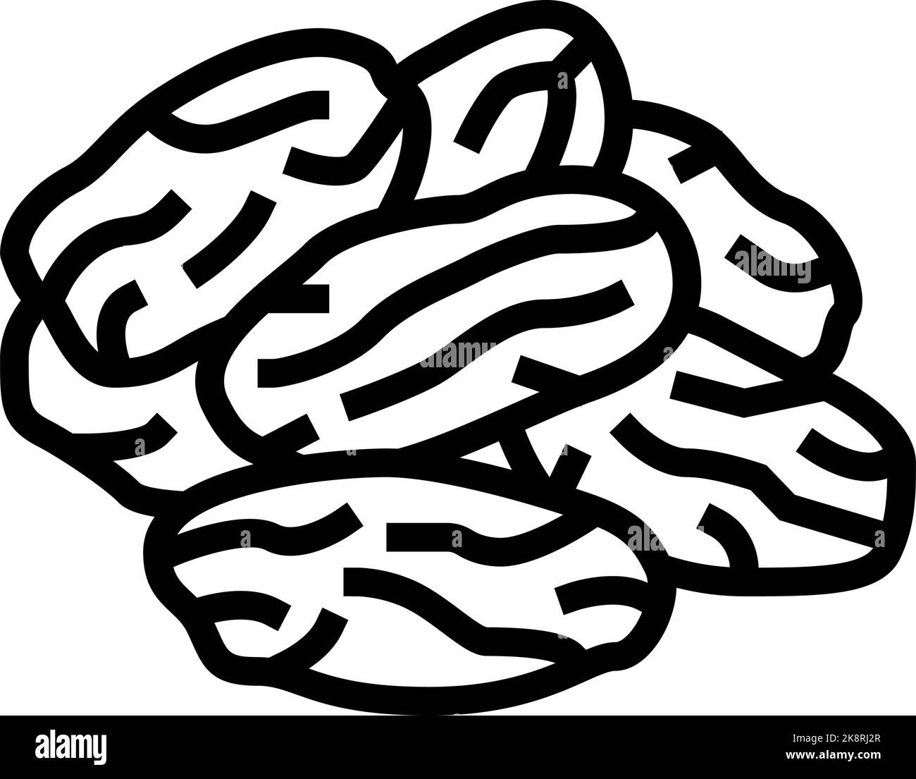 dates dried fruit line icon vector illustration Stock Vector Image