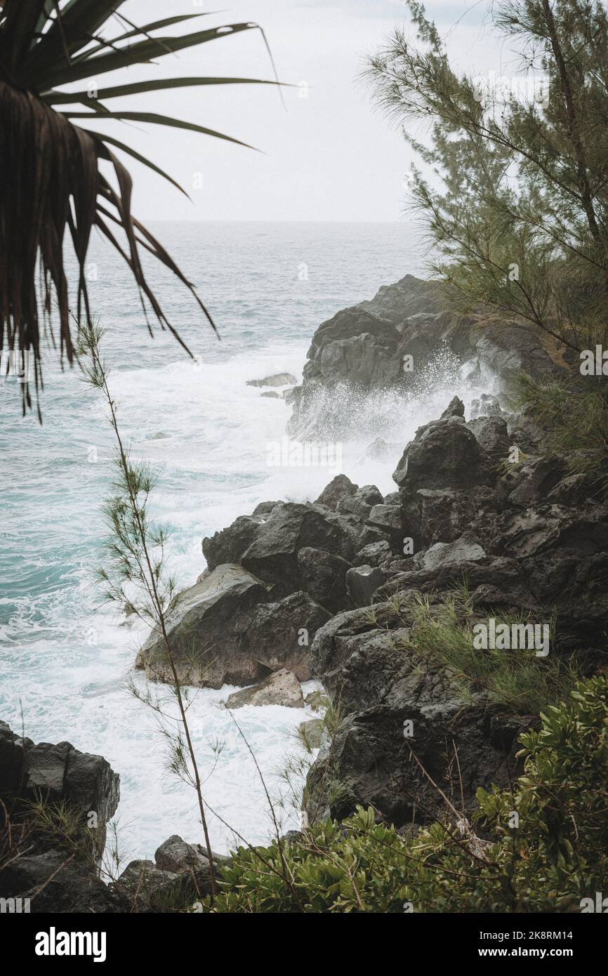 Vertical shot splashing foamy hi-res stock photography and images - Alamy