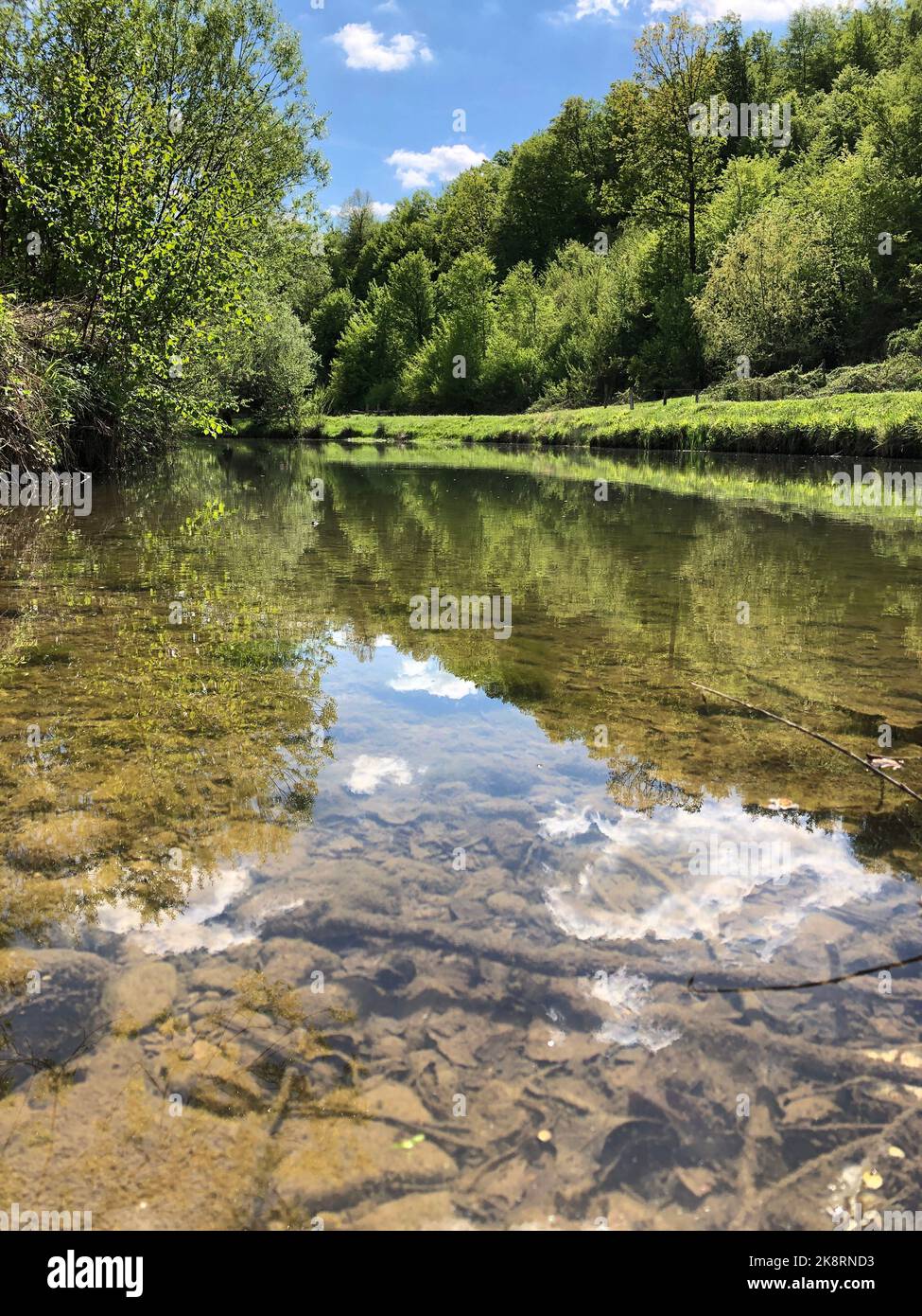 A vertical of a mesmerizing mirror lake with tree reflections on its ...