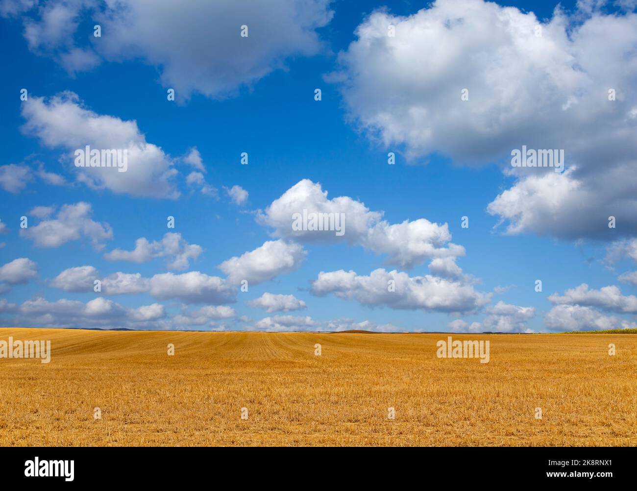 view of a crop field in the north of Spain Stock Photo