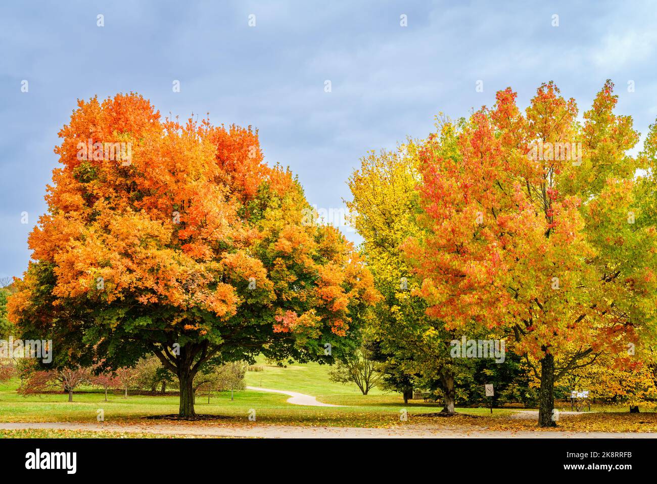 Scenic view of trees in full autumn color in Arboretum in Lexington, Kentucky Stock Photo