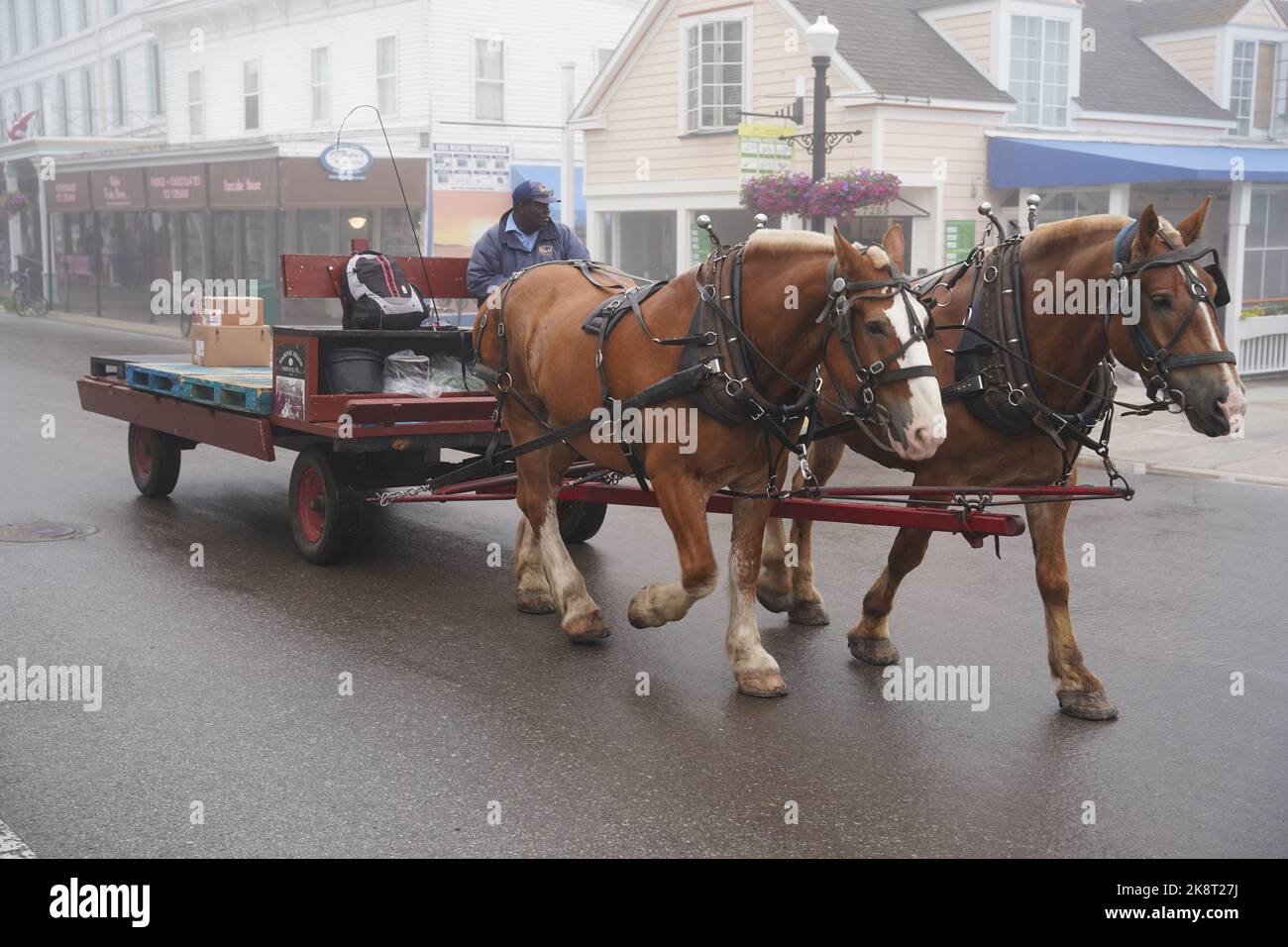 A black delivery man on a carriage with horses in the street on foggy