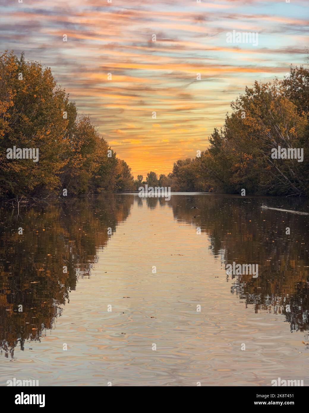 A vertical shot of a lake reflecting the environment in the sunset ...