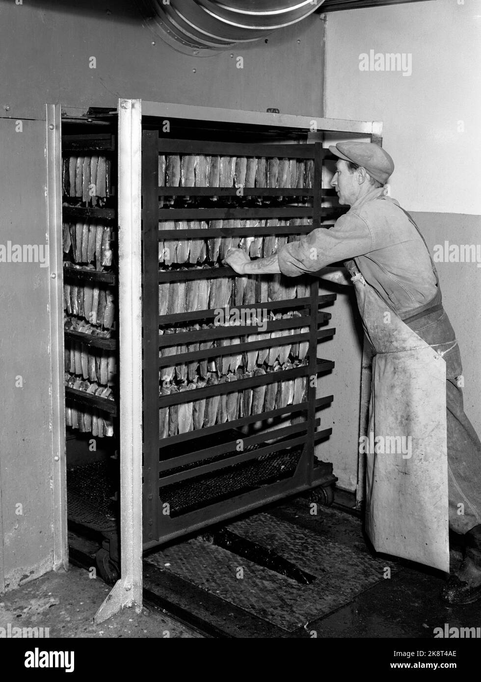 Stavanger 19510130 Working life at Norma canned factory in Stavanger