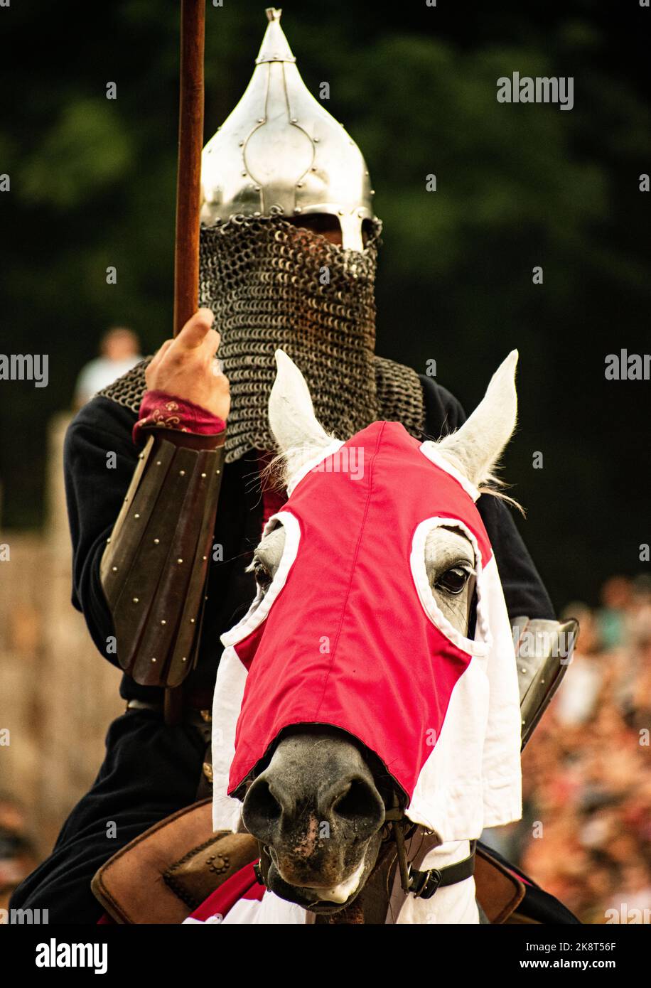 A vertical closeup of an Anglo-Saxon warlord on the white Mane horse wearing red blinkers, blurred background Stock Photo