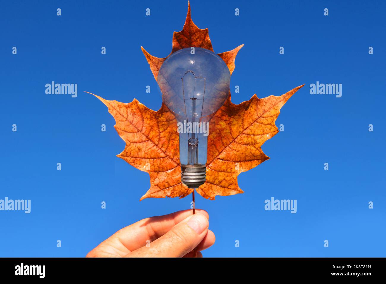 Light bulb as symbol of bright ideas Stock Photo