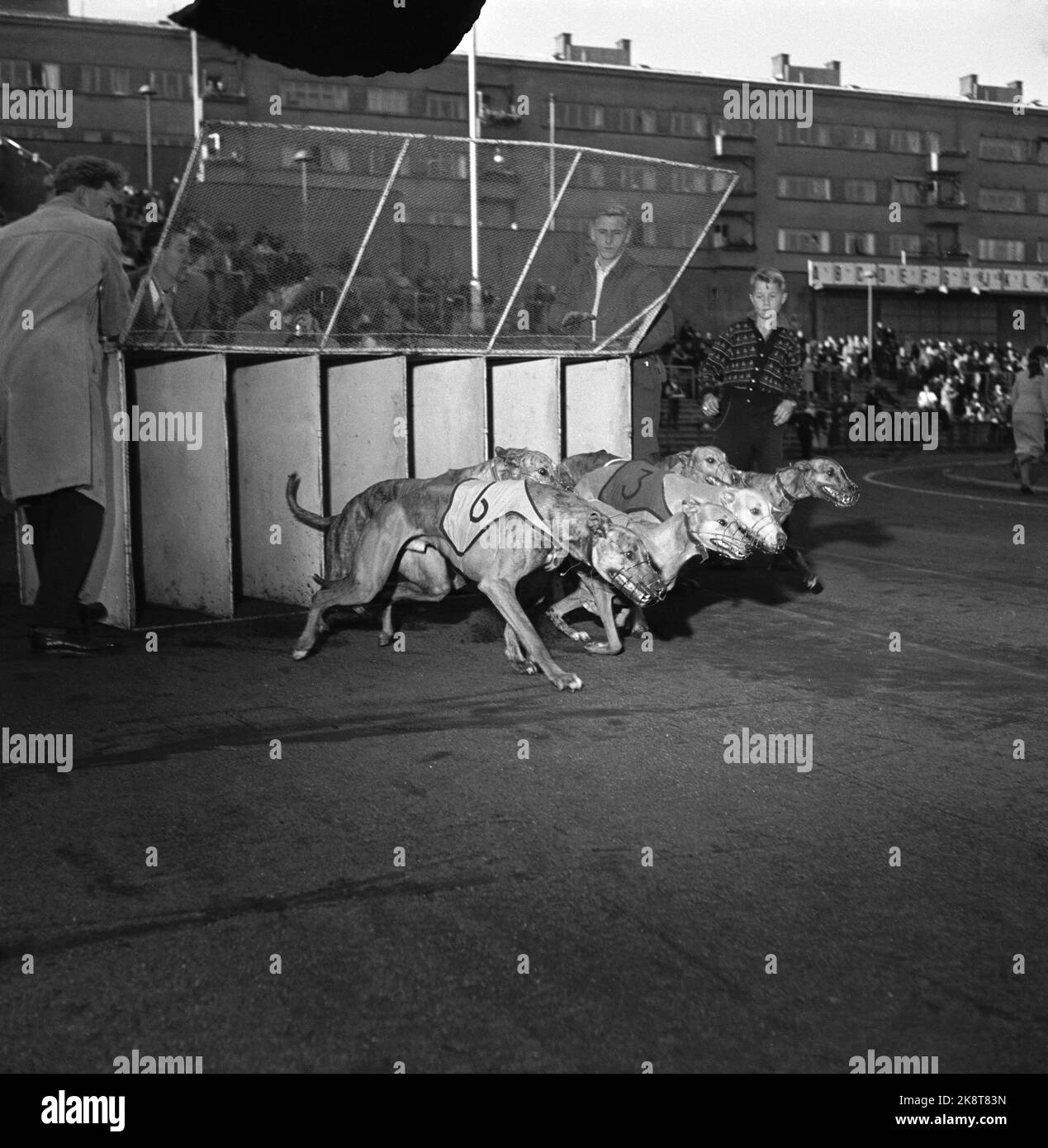 Oslo 1954 - "Autumn Parade" at Bislett. Arranged by the Norwegian