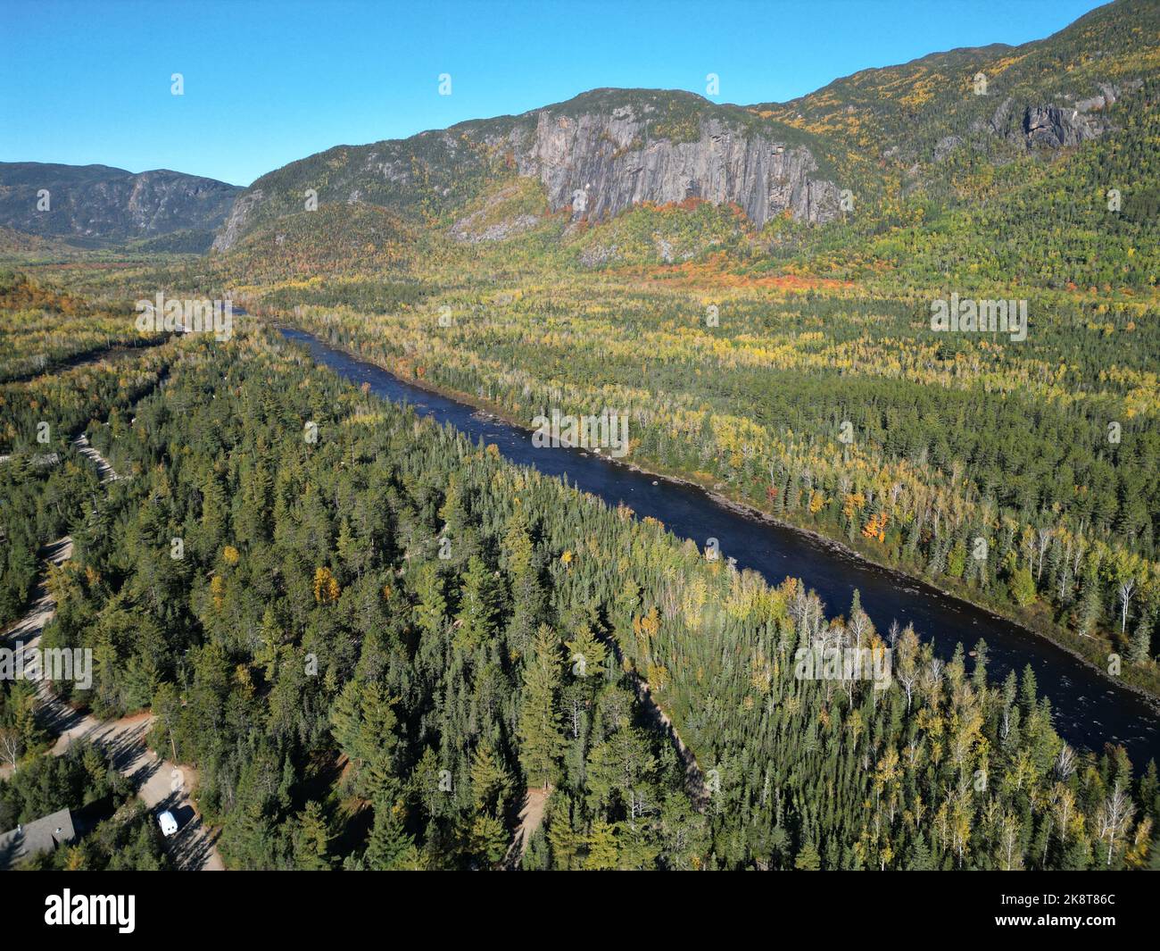 An aerial view of a river across the forest with pine trees Stock Photo ...