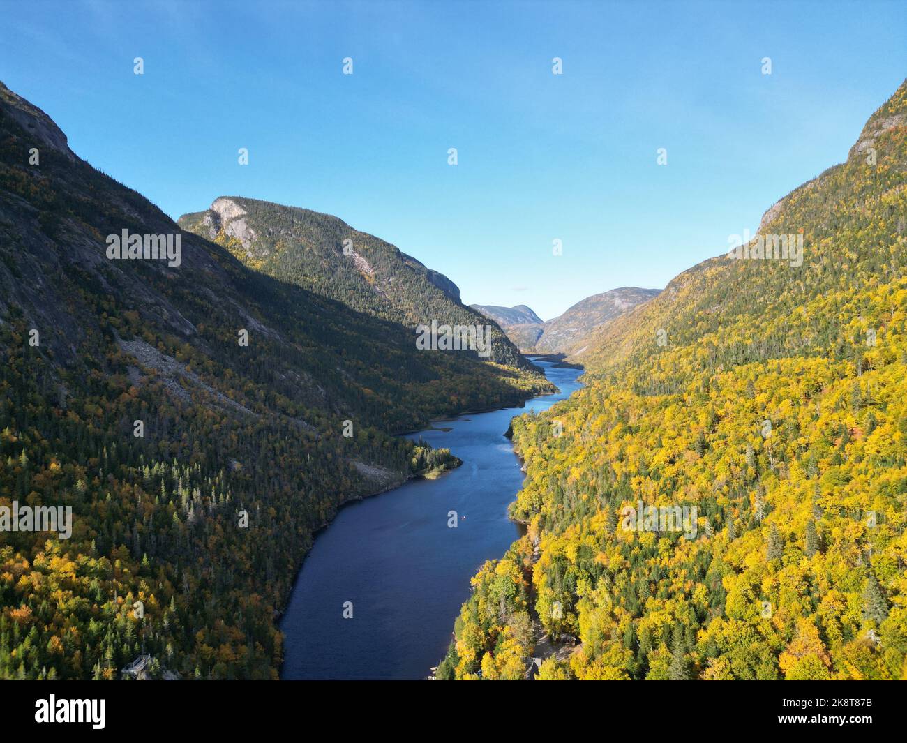 An aerial view of a river across the forest with pine trees Stock Photo ...
