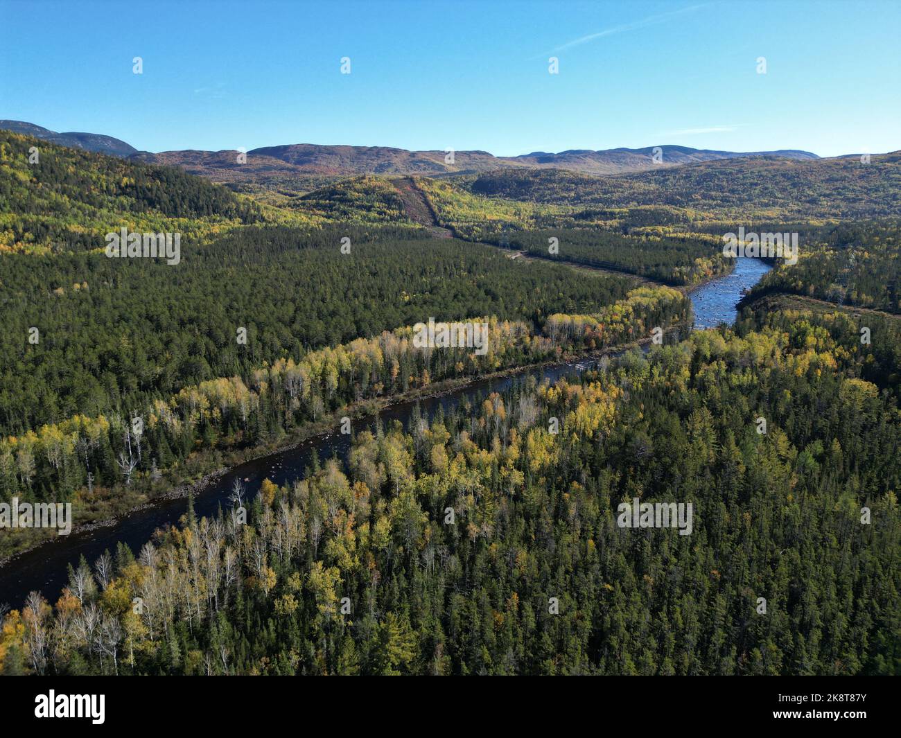An aerial view of a river across the forest with pine trees Stock Photo ...
