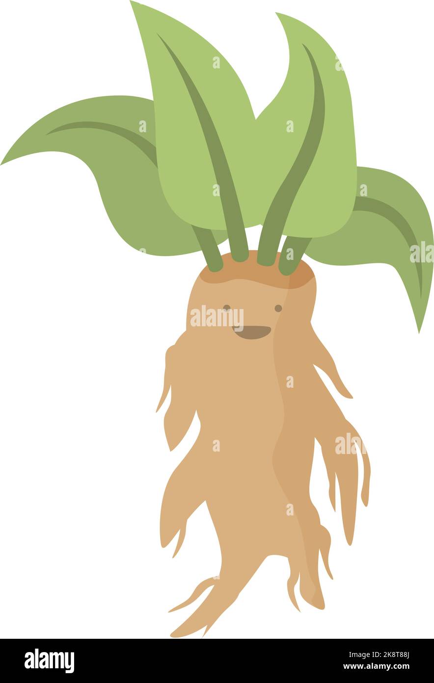 Mandragora Stock Vector Images - Alamy