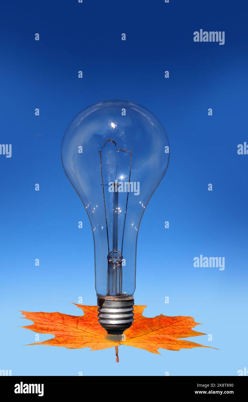 Light bulb as symbol of bright ideas Stock Photo