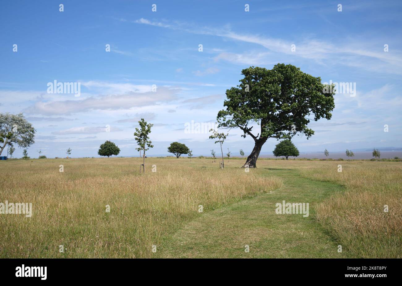 Cliff top grass hires stock photography and images Alamy
