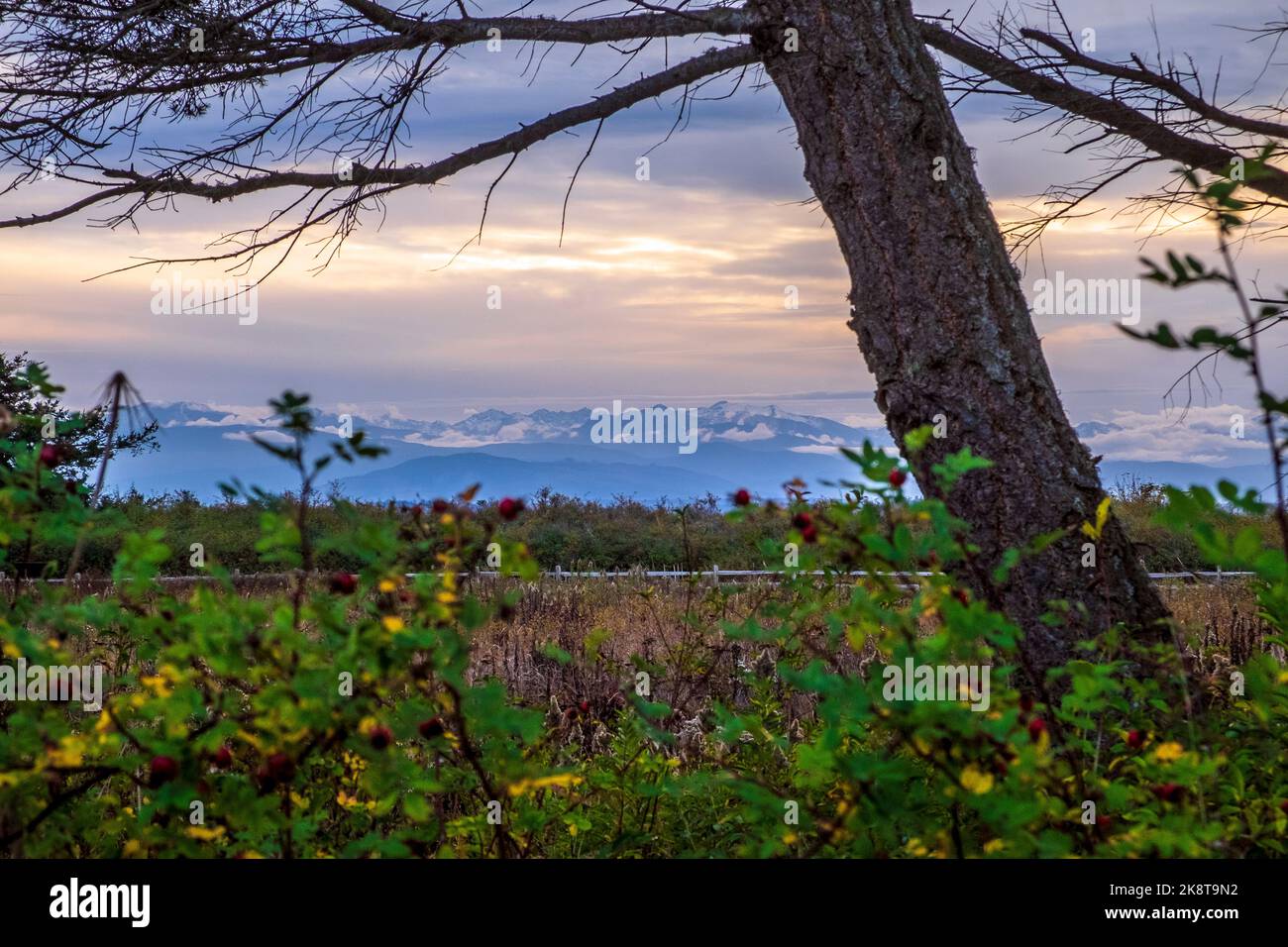 Scenery along Ebey's Trail, Admiralty Inlet Preserve, Whidbey Island