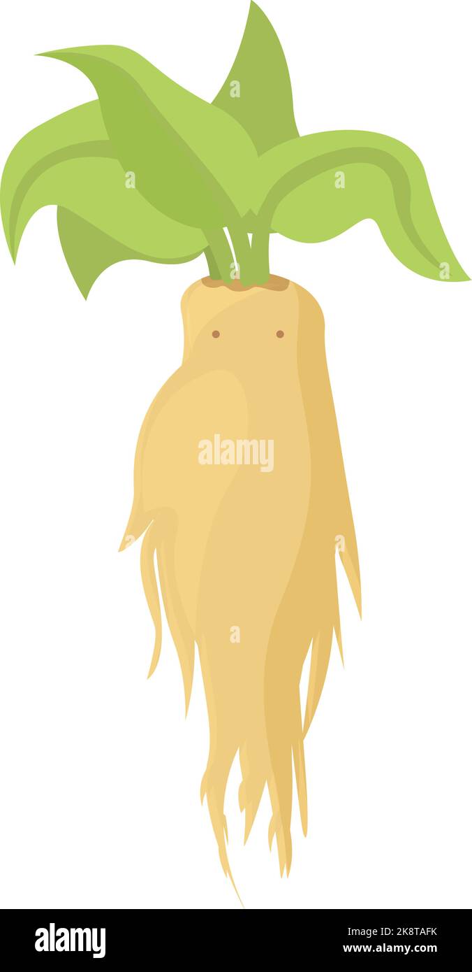 Cute lovely cartoon mandrake roots illustration seamless vector