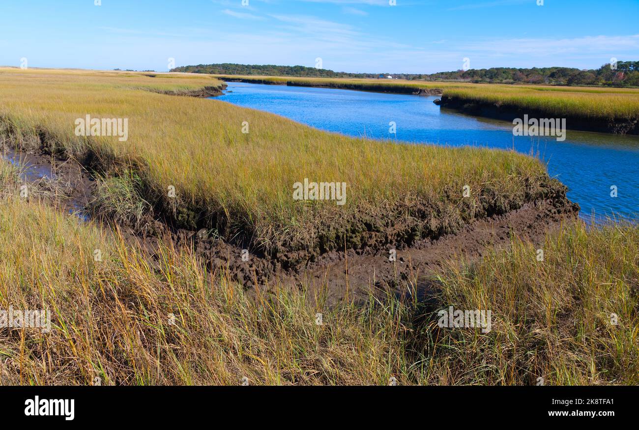 Sesuit Marsh from Crow's Pasteur on Cape Cod, USA Stock Photo