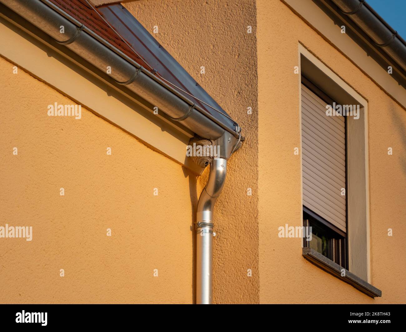 Wasp nest on a building exterior. The grey nest is hanging next to the roof gutter of a residential house. Destroying the insect home is dangerous. Stock Photo