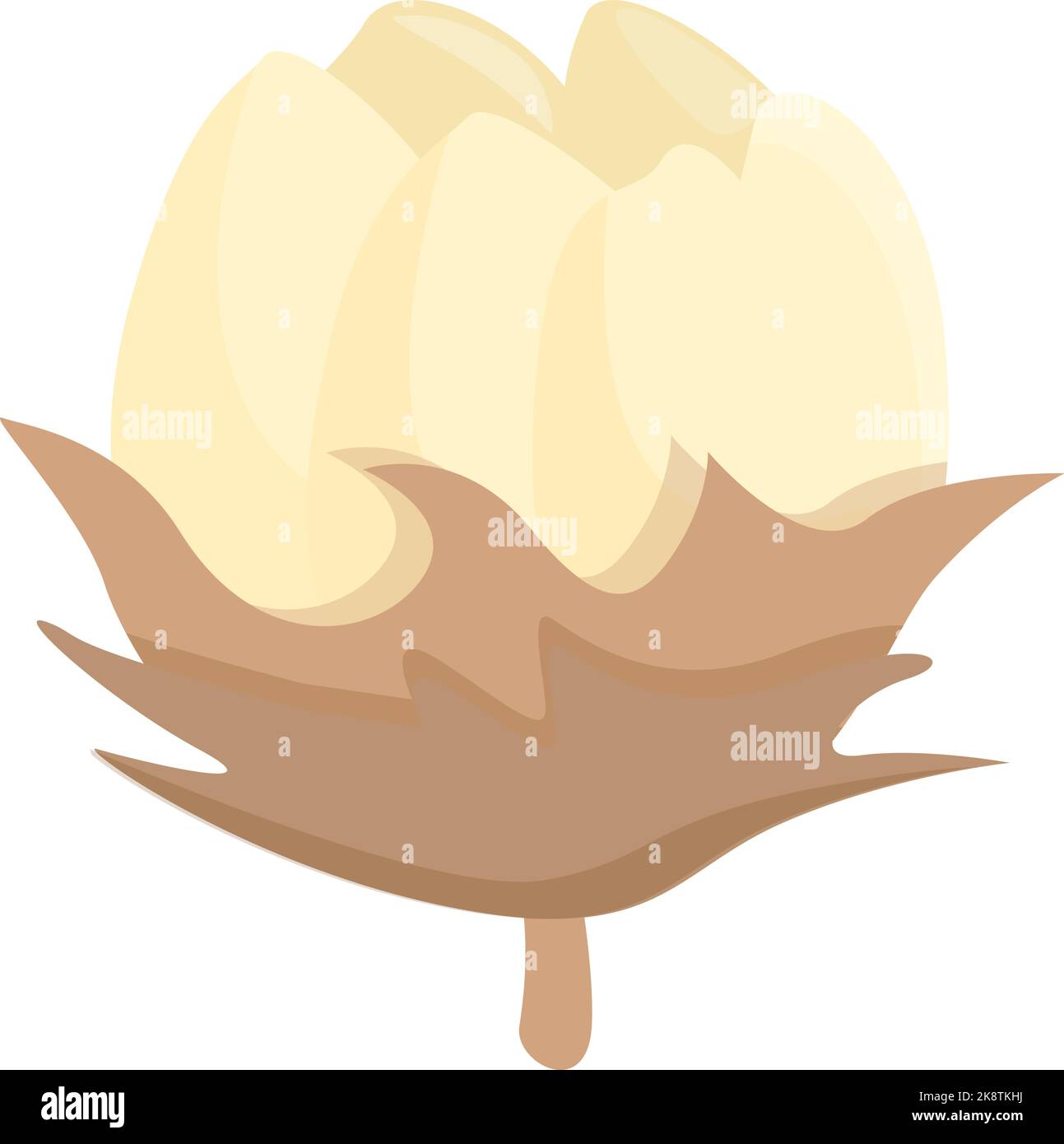 Blossom cotton icon cartoon vector. Organic flower. Pure plant Stock ...