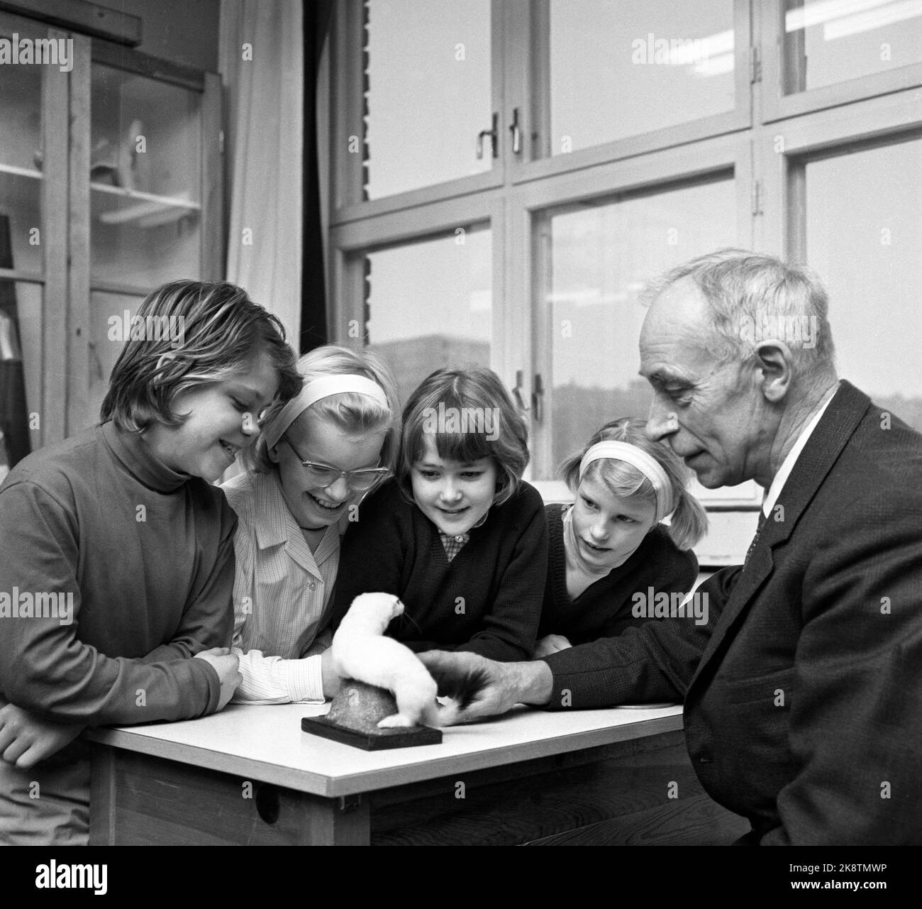 Oslo 196601. Teaching in science at Marienlyst school at Majorstuen in Oslo, January 1966. School students look at a stuffed animal (probably noise tax) together with the teacher. Photo: Arild Hordnes / Henrik Laurvik / NTB Stock Photo
