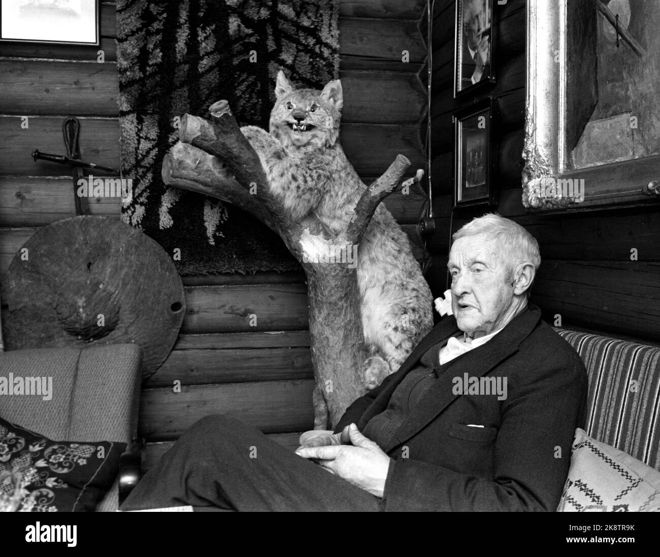 Hølera, Bagn in Valdres 197211. Author Mikkjel Fønhus at home on Nissebakken. He shot the stuffed gaupa in 1936. Today he would not shoot the yawning, he thinks it should be totally peaceful of Sønafjells. He has written 40 books on animals and trapping life in close and distant wilderness. Photo Ivar Aaserud / Current / NTB Stock Photo