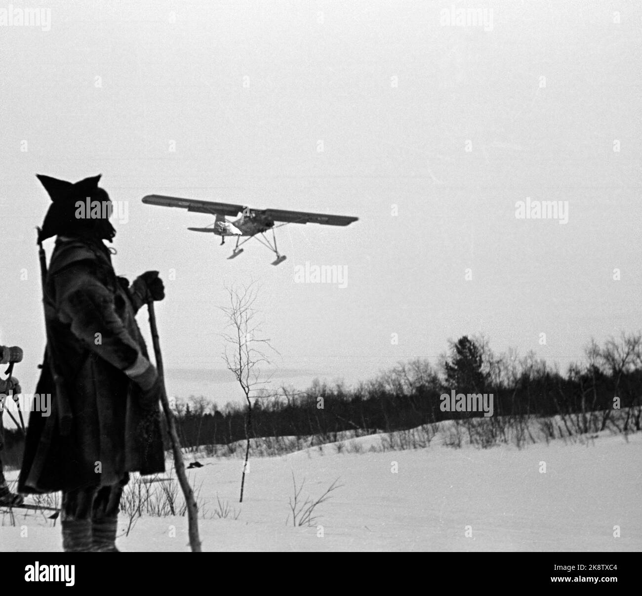 Finnmark in the winter of 1949. Extensive wolf hunting on