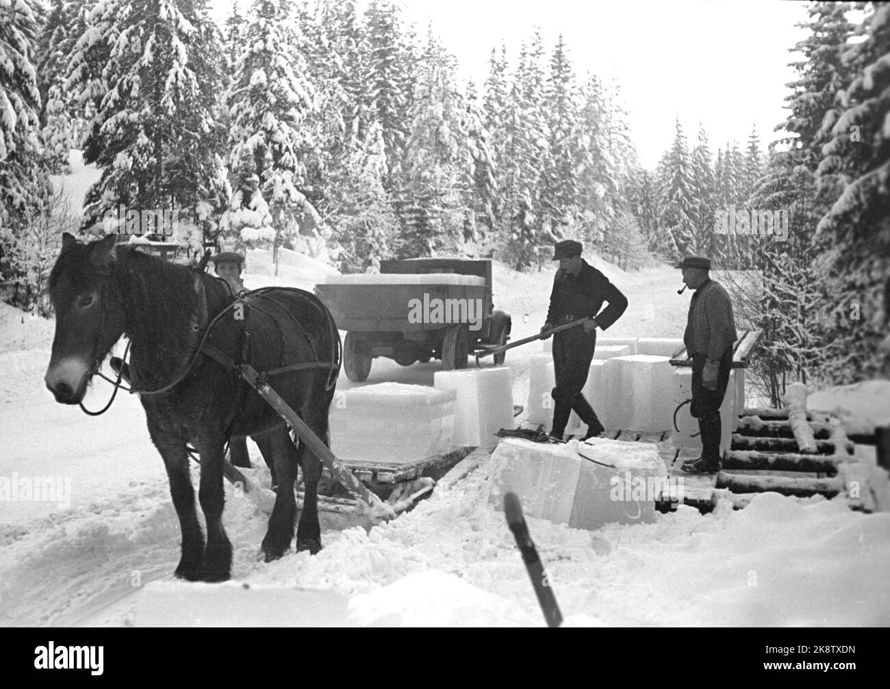 Ntb archive ntb winter ice horses working men hi-res stock photography and  images - Alamy
