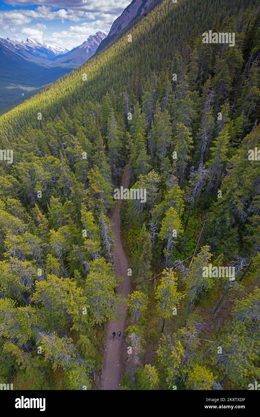 Aerial view from gondola hi-res stock photography and images - Alamy