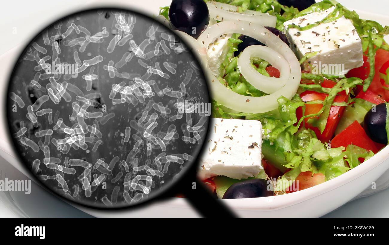 Searching for bacteria in vegetables Stock Photo Alamy